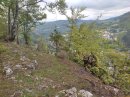 Morez
